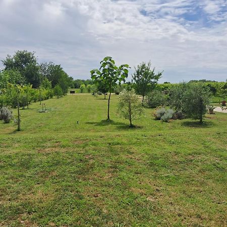 Casa Zafferano - Apartment With Garden Corno di Rosazzo Zewnętrze zdjęcie