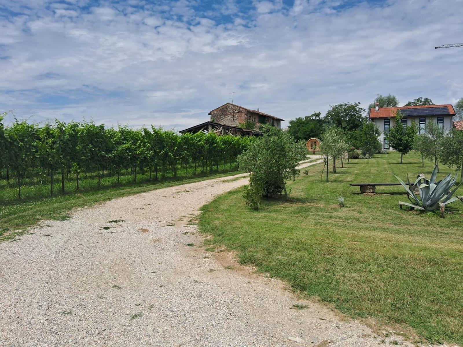 Casa Zafferano - Apartment With Garden Corno di Rosazzo Zewnętrze zdjęcie
